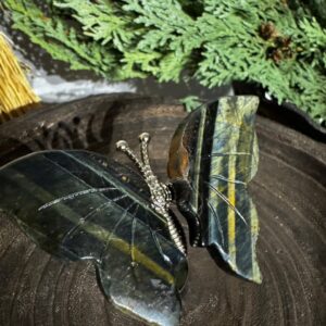 Laborodite Butterfly