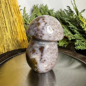 Ocean Jasper Mushroom