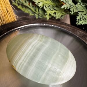 Caribbean Calcite Palm