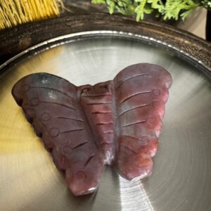 Ocean Jasper Butterfly
