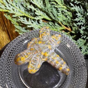 Fruit Jasper Dragonfly
