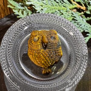 Tigers Eye Owl