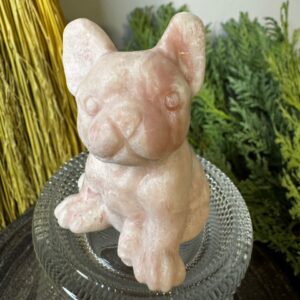 Pink Opal Frenchie