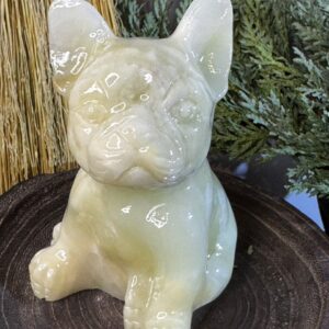Afghan Jade Frenchie