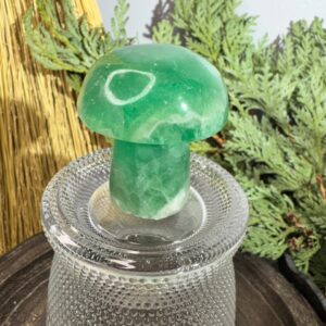 Fluorite Mushroom