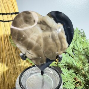 Volcano Agate Heart