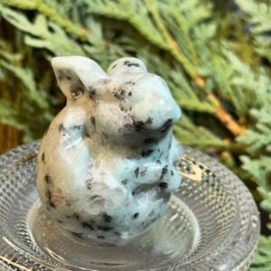 Kiwi Jasper Bunny
