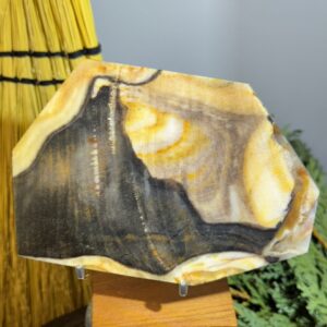 Petrified Wood Slab