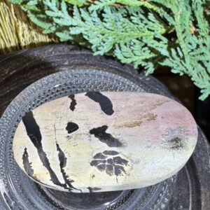 Picture Jasper Palm