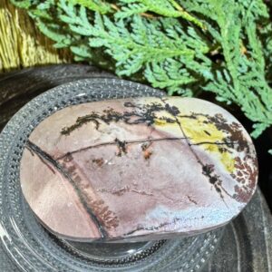 Picture Jasper Palm