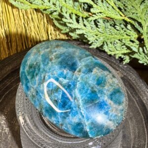 Blue Apatite Palm