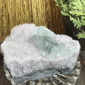 Fluorite and Apophyllite