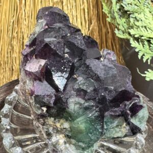 Deep purple and green cube fluorite