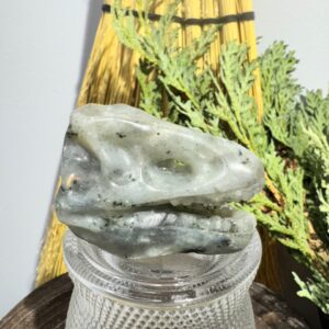 Labradorite Dinosaur Head