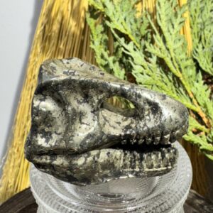 Pyrite Dinosaur Head