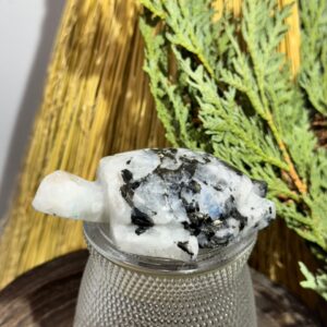 Moonstone Turtle