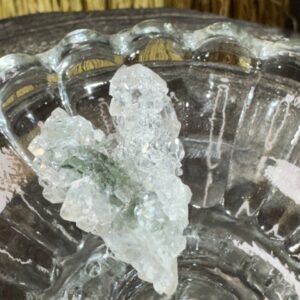 Xxs garden and Apophyllite