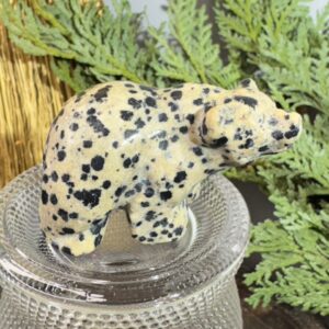 Dalmatian Jasper