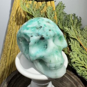 Phoenix Skull