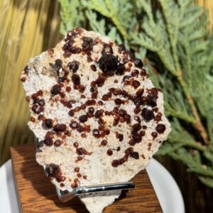 Garnet on Feldspar