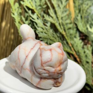 Red Vein Jasper Cat