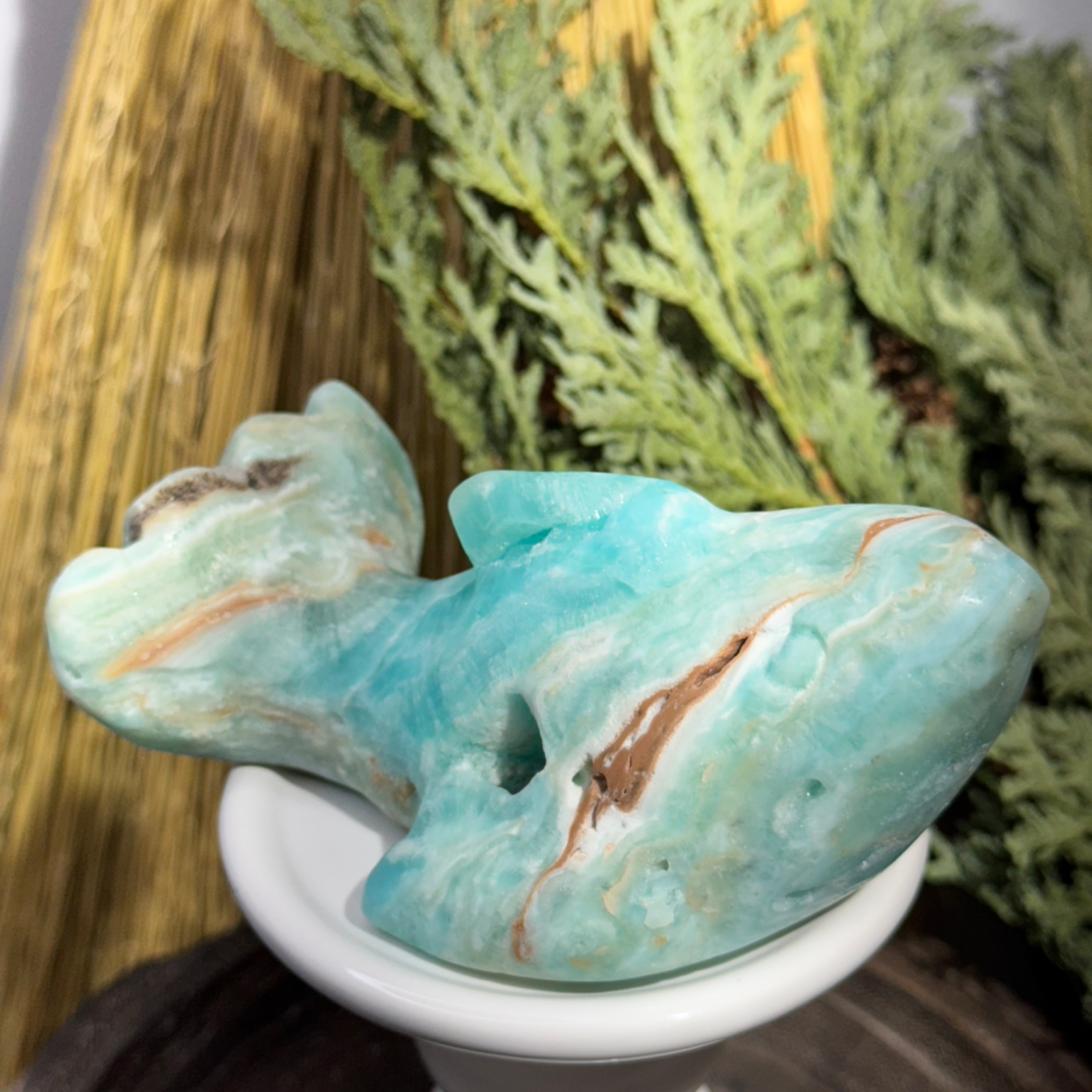 Hemimorphite Shark