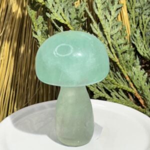 Fluorite Mushroom