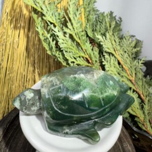 Moss Agate Turtle