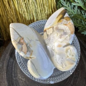 King Cobra Jasper 3D butterfly