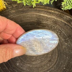 Moonstone Palm blue flash