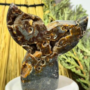 Marcasite Whale Tail