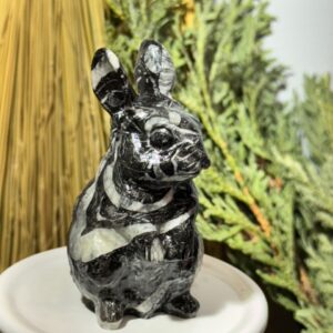 Picture Jasper Bunny